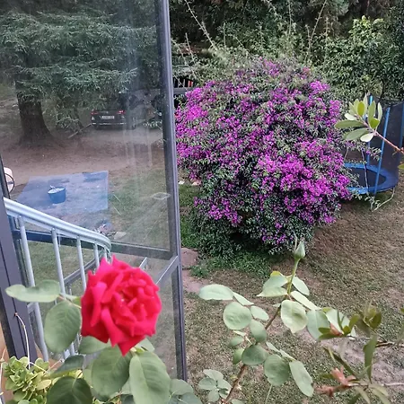 Monte Do Castro * Porto do Son