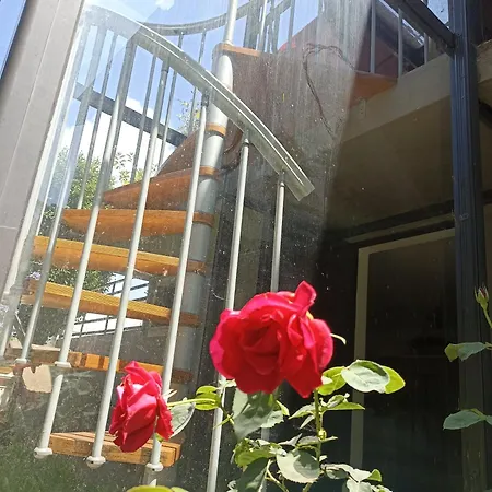 Monte Do Castro Holiday home *