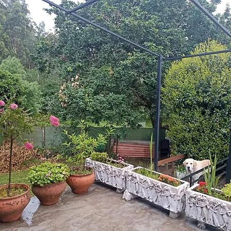 Holiday home Monte Do Castro