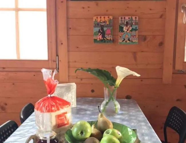 Monte Do Castro Tatil Evi *