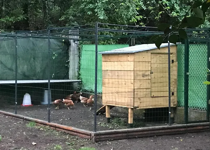 Monte Do Castro * Porto do Son