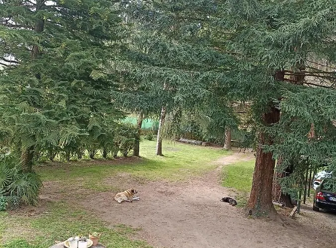 Monte Do Castro Porto do Son