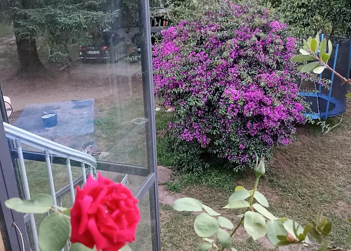 Monte Do Castro * Porto do Son