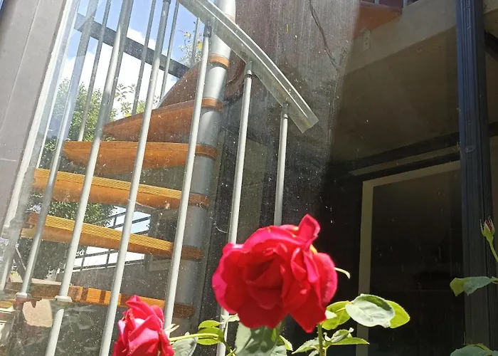 Monte Do Castro Vakantiehuis *