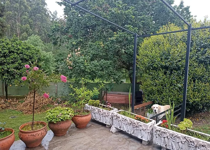 Vakantiehuis Monte Do Castro